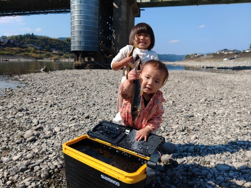 アユの釣果