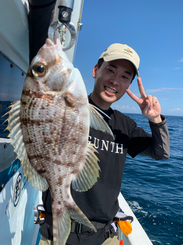 メイチダイの釣果