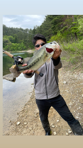 ブラックバスの釣果