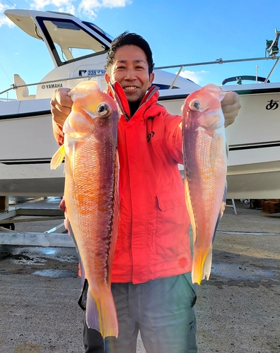 アマダイの釣果