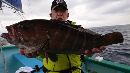 マハタの釣果