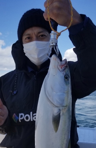 ワラサの釣果