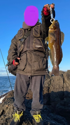 アイナメの釣果