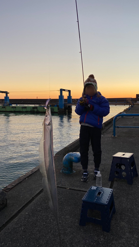 タチウオの釣果