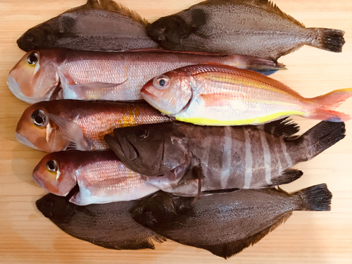 アマダイの釣果