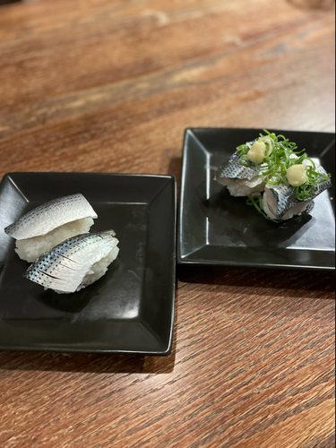 コノシロの釣果