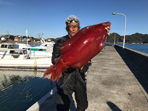 イカの釣果