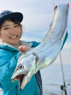 タチウオの釣果