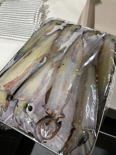 釣果