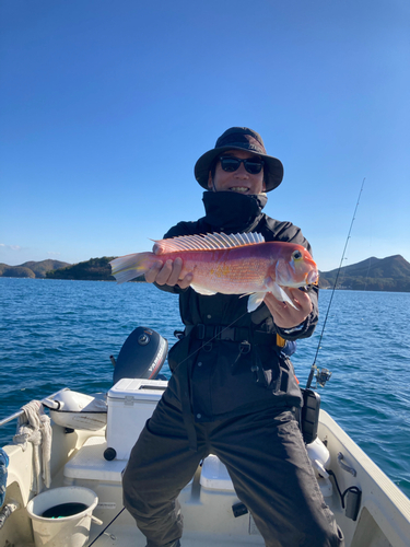 アマダイの釣果