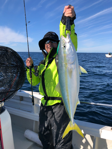 ヤズの釣果