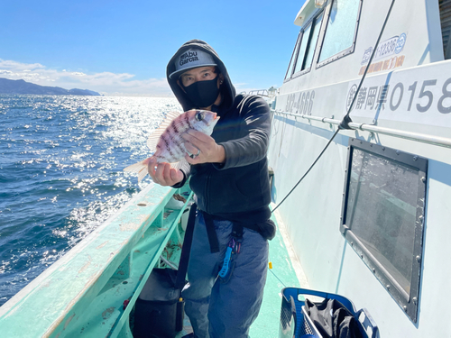 メイチダイの釣果