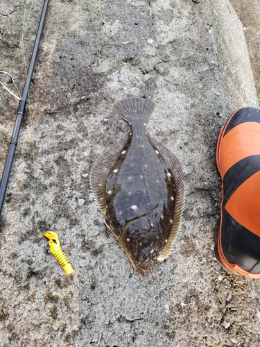 イシモチの釣果