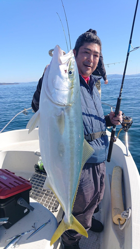 ヤズの釣果