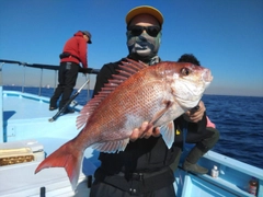 タイの釣果