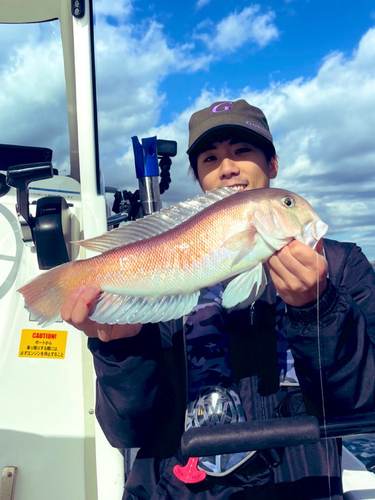 シロアマダイの釣果