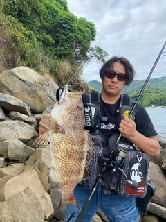 オオモンハタの釣果