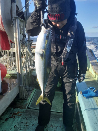 イナダの釣果