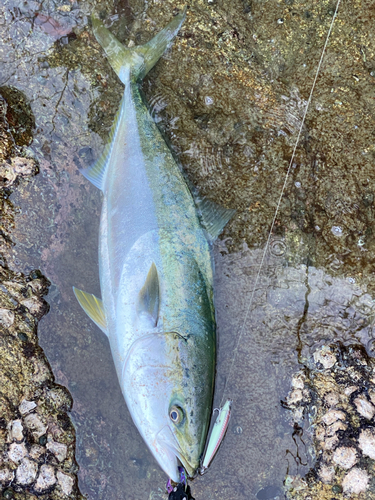 釣果