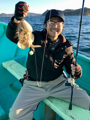 カワハギの釣果