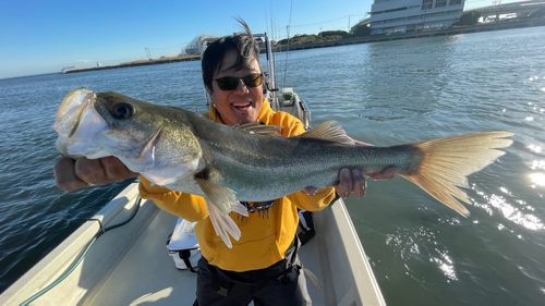 シーバスの釣果