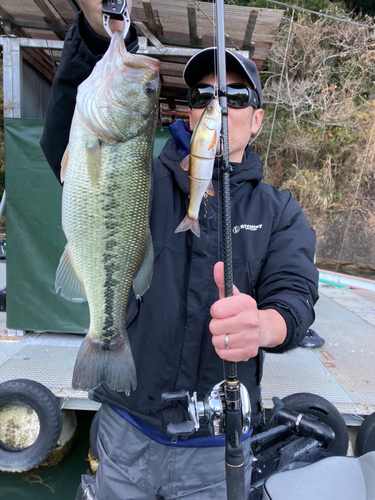 ブラックバスの釣果