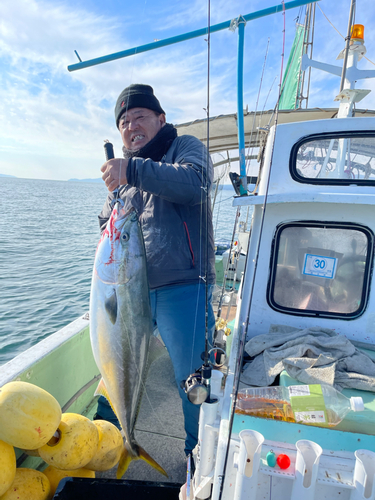 ブリの釣果