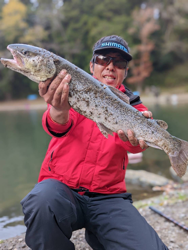 イトウの釣果