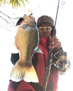 ブラックバスの釣果