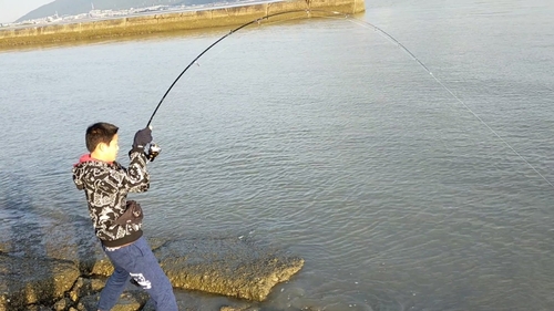 アカエイの釣果