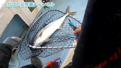 ヒラマサの釣果