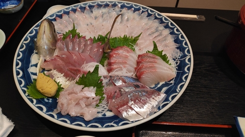 ヒラメの釣果