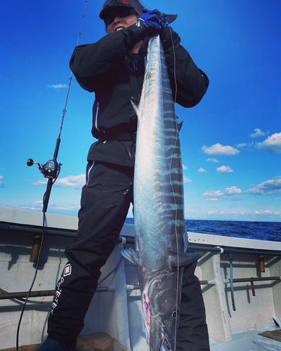 オキサワラの釣果