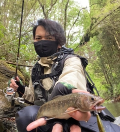 イワナの釣果