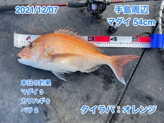 マダイの釣果