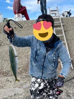 ヒラマサの釣果