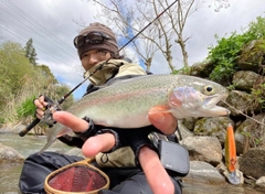 ニジマスの釣果