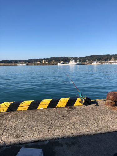 ガンゾウビラメの釣果