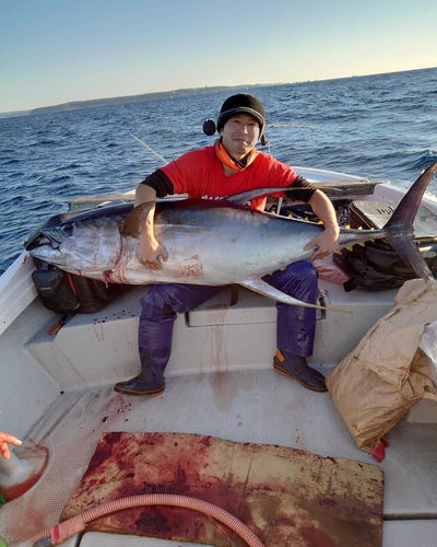 キハダマグロの釣果