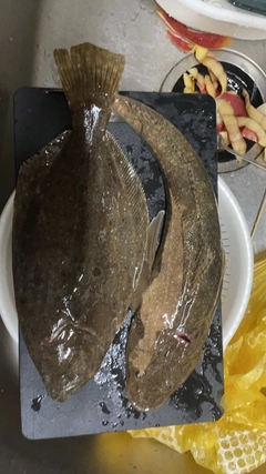 釣果