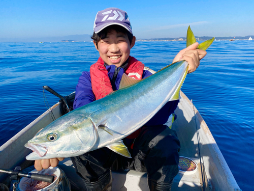 ワラサの釣果