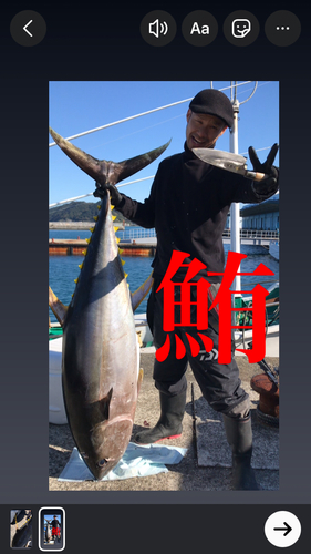 キハダマグロの釣果