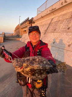 ヒラメの釣果