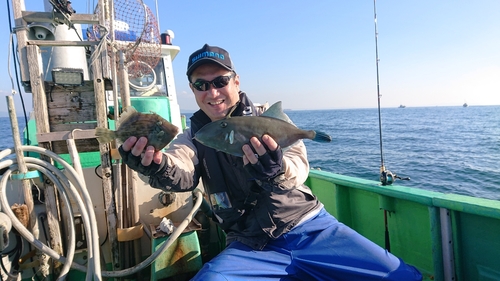 カワハギの釣果