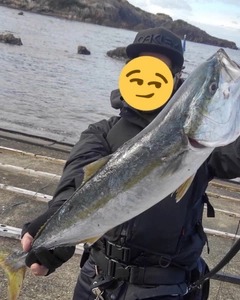 メジロの釣果