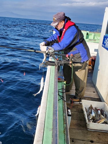 スケトウダラの釣果