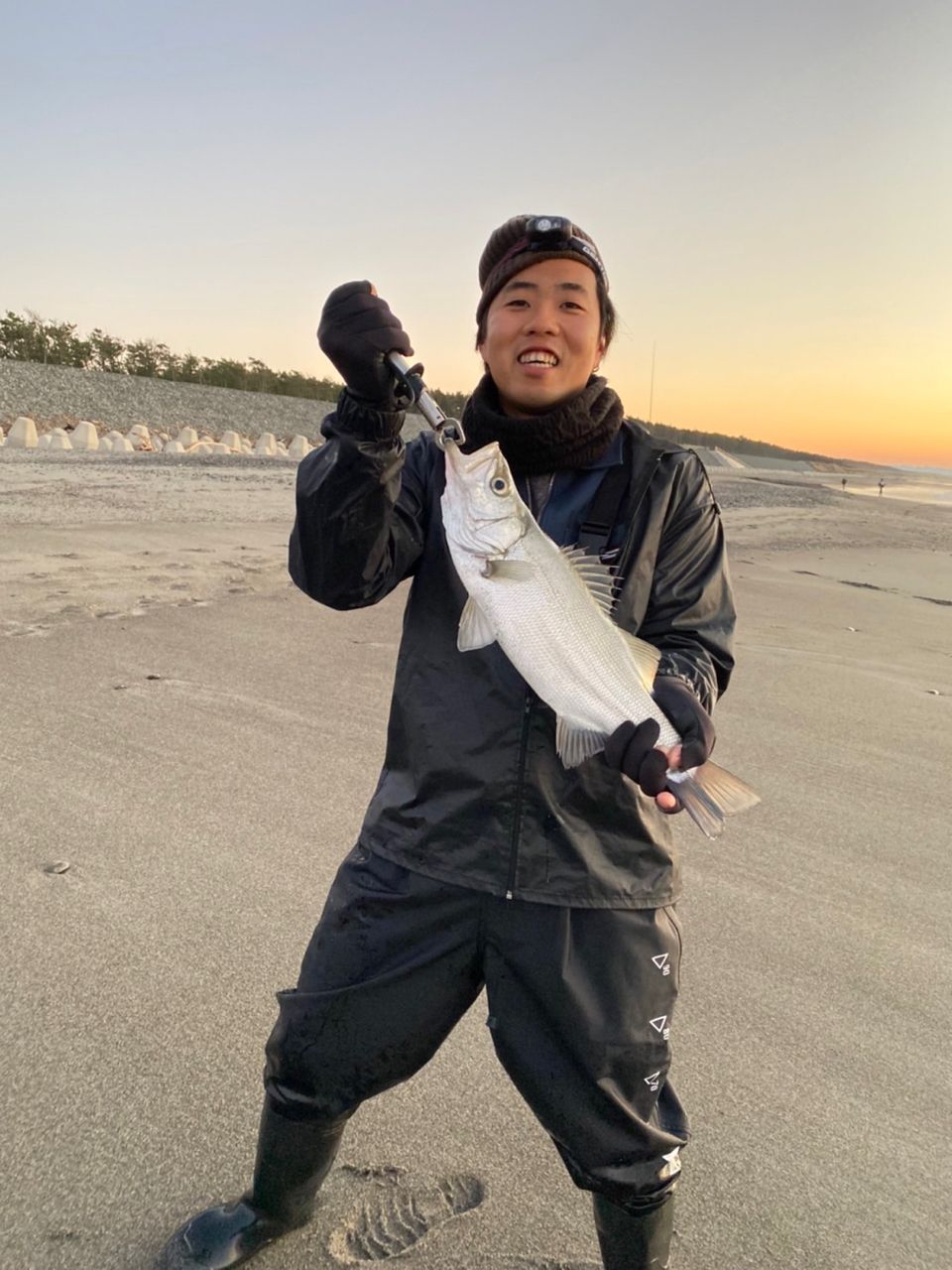 セイゴ（ヒラスズキ）