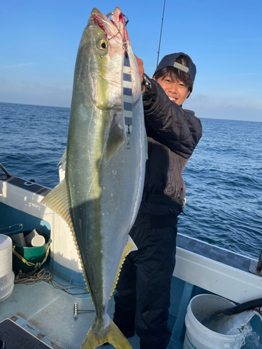 ブリの釣果