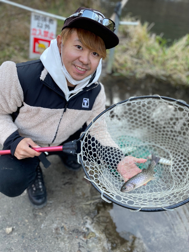 ニジマスの釣果