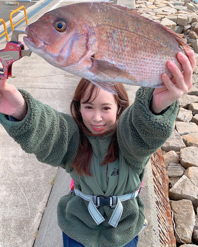 マダイの釣果